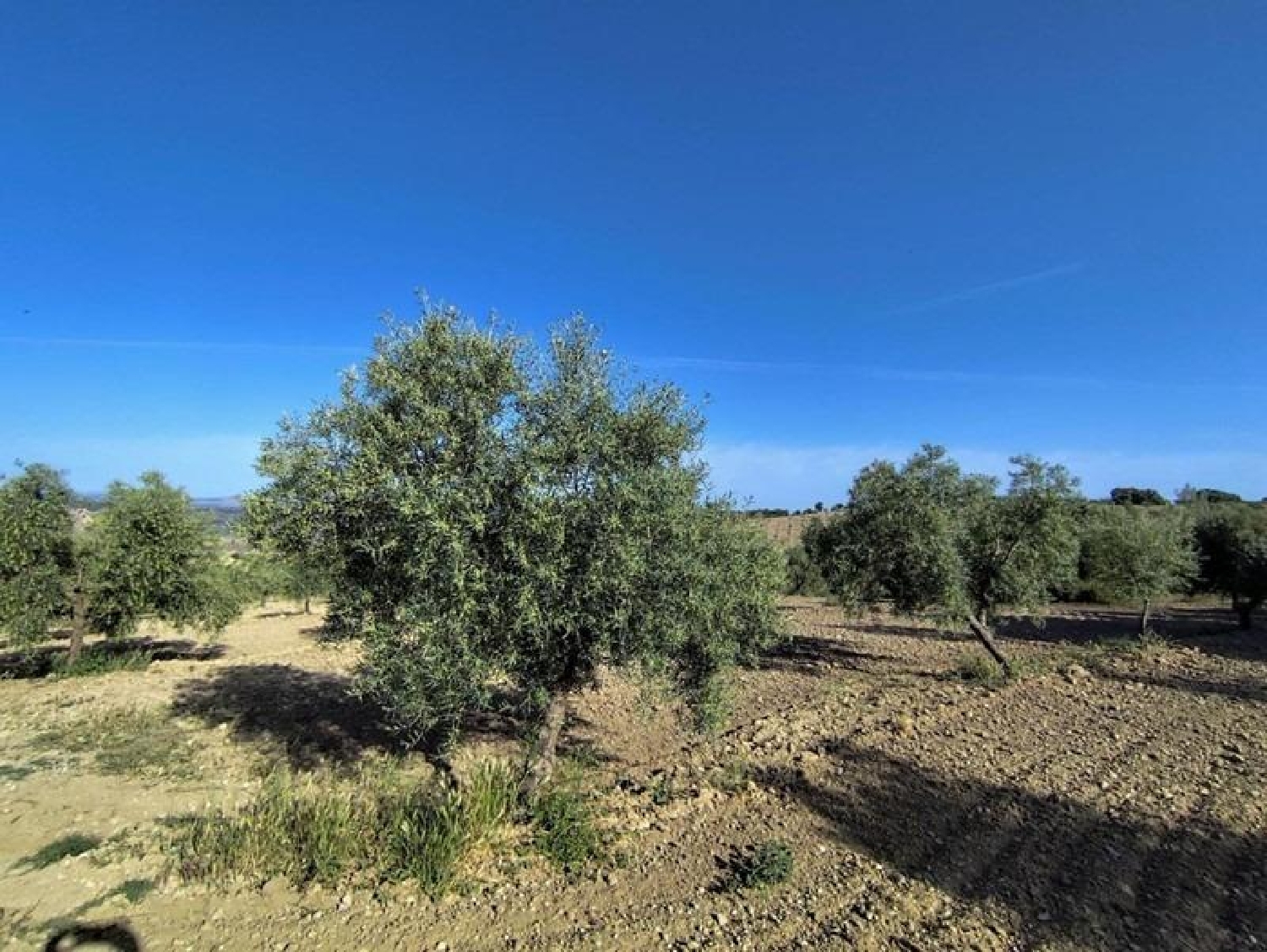  for sale plot Arenas Del Rey Alhama 2