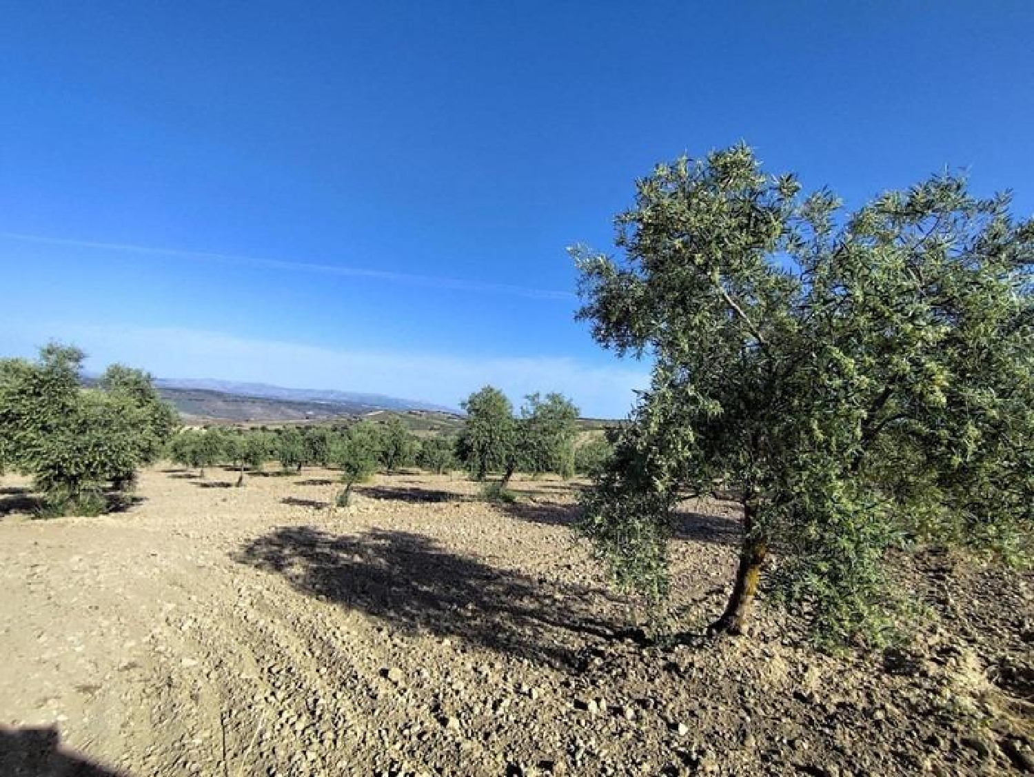  for sale plot Arenas Del Rey Alhama 4
