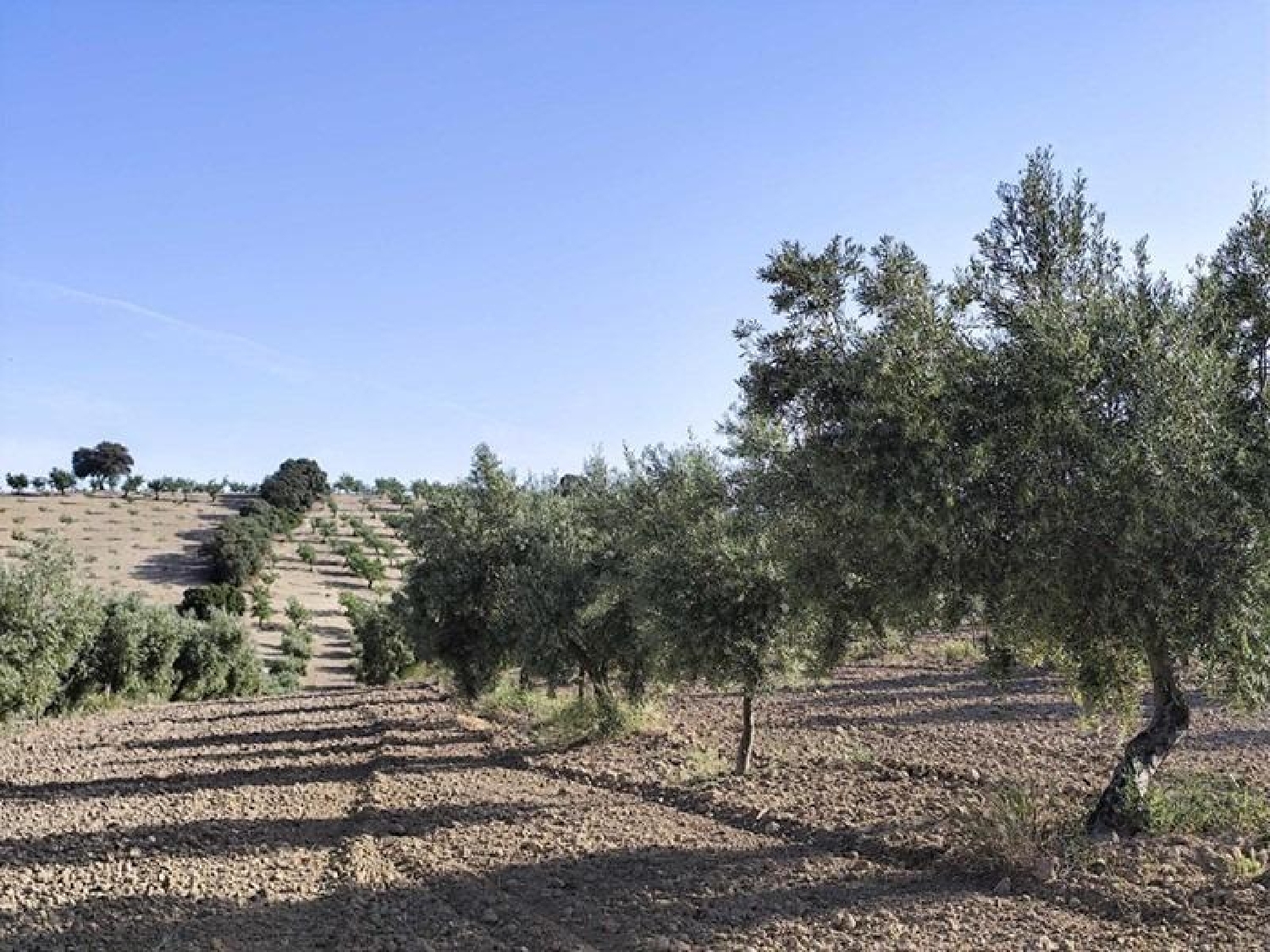  for sale plot Arenas Del Rey Alhama 6