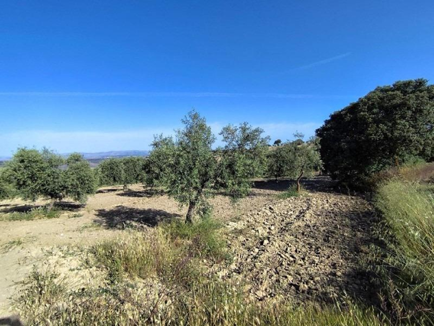  for sale plot Arenas Del Rey Alhama 1