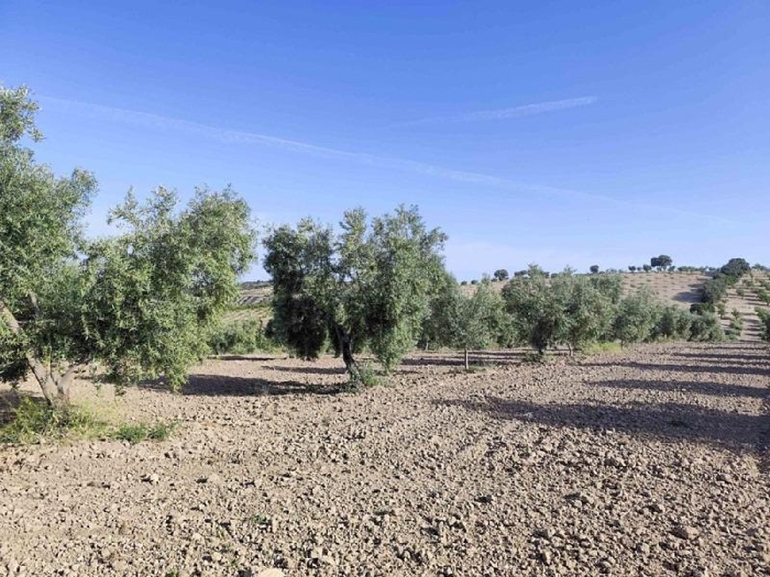  for sale plot Arenas Del Rey Alhama 7