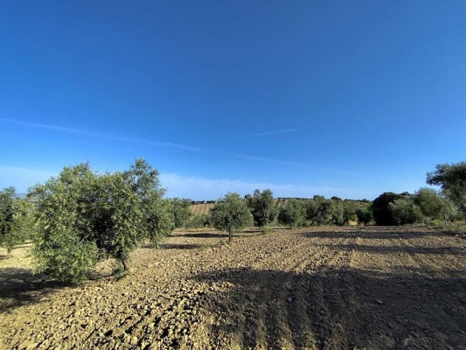  for sale plot Arenas Del Rey Alhama 3