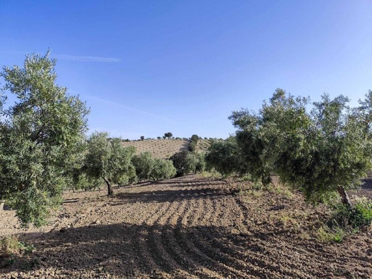  for sale plot Arenas Del Rey Alhama 8
