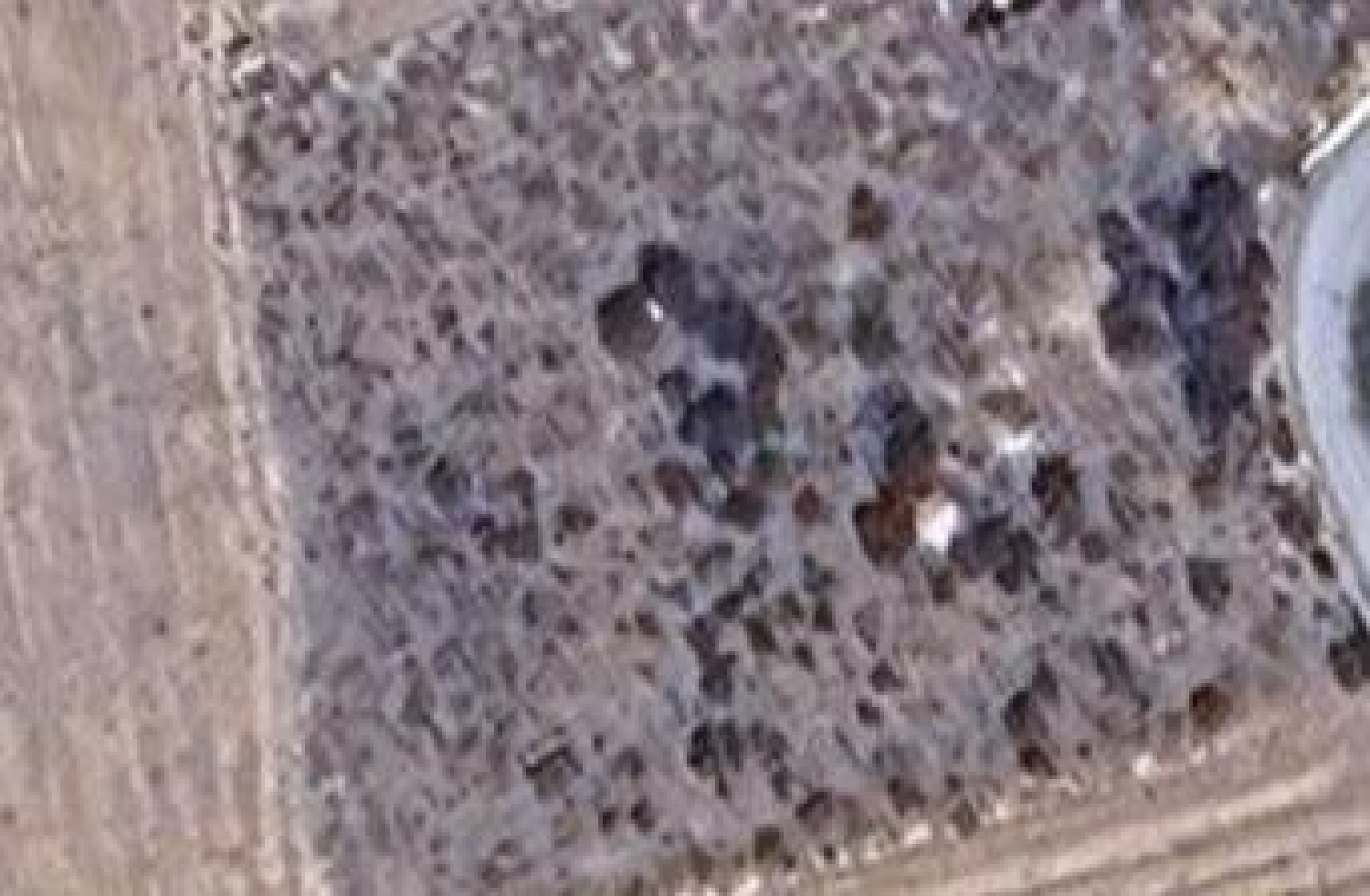  for sale plot Aspe Vinalopó Mitjà 1