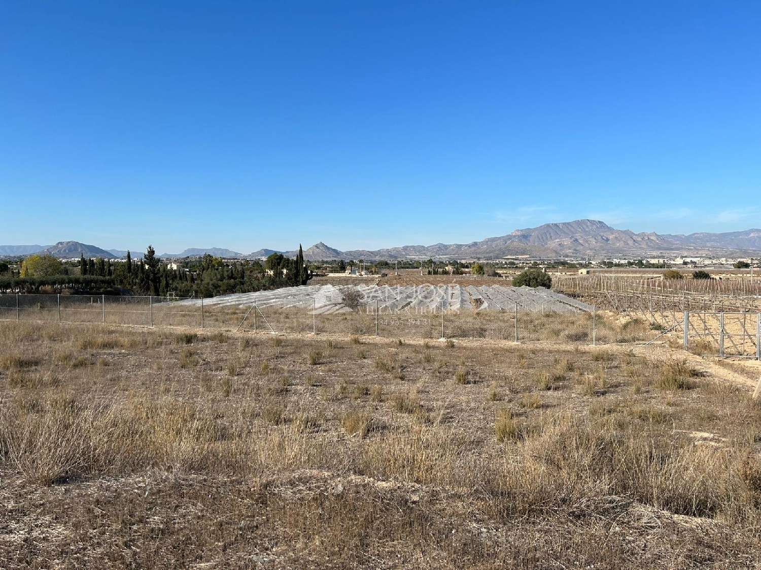  for sale plot Aspe Vinalopó Mitjà 5