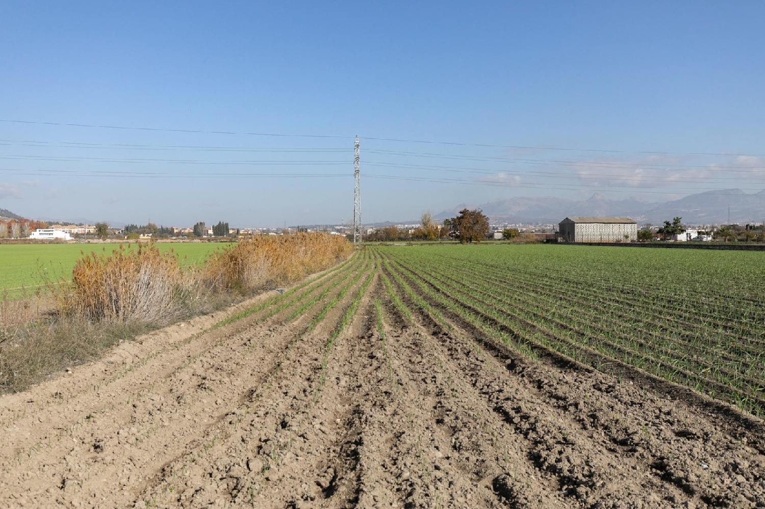  till salu tomt Atarfe Vega De Granada 8