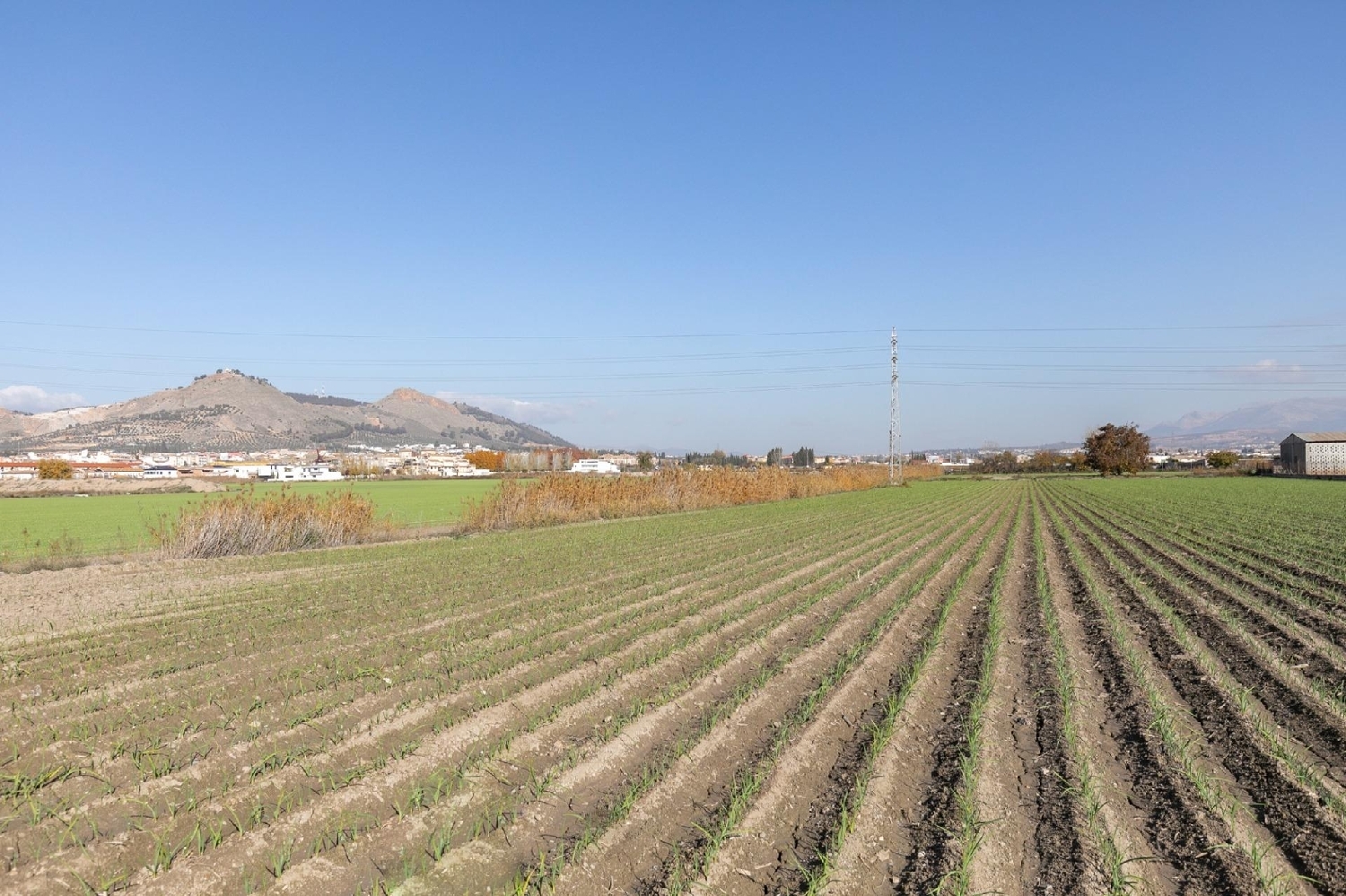  te koop perceel Atarfe Vega De Granada 7