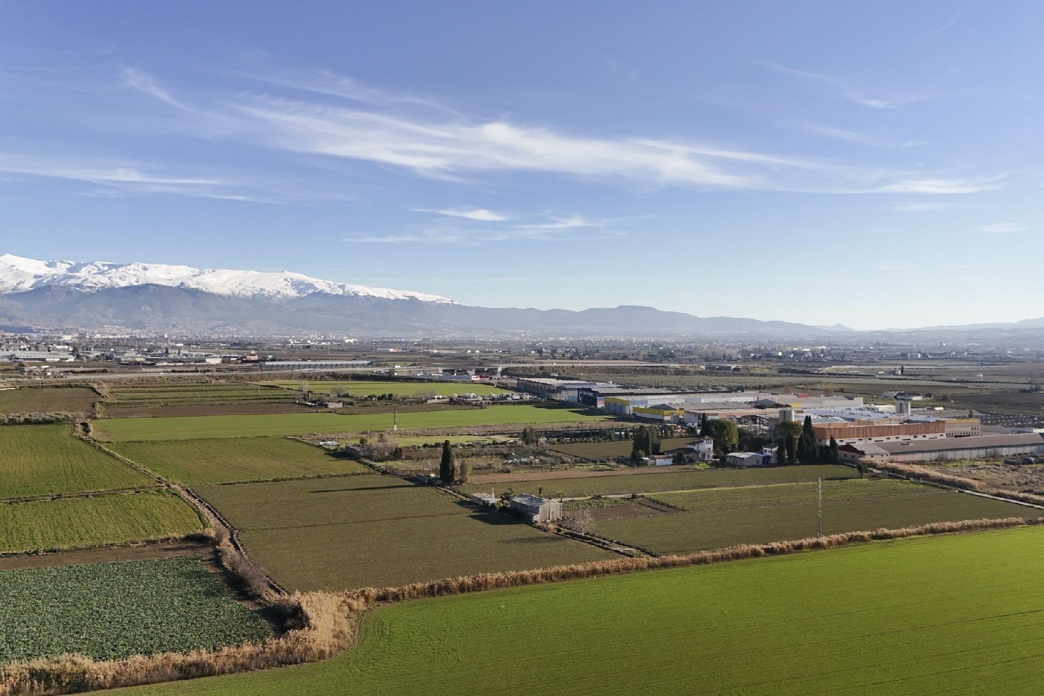  te koop perceel Atarfe Vega De Granada 4