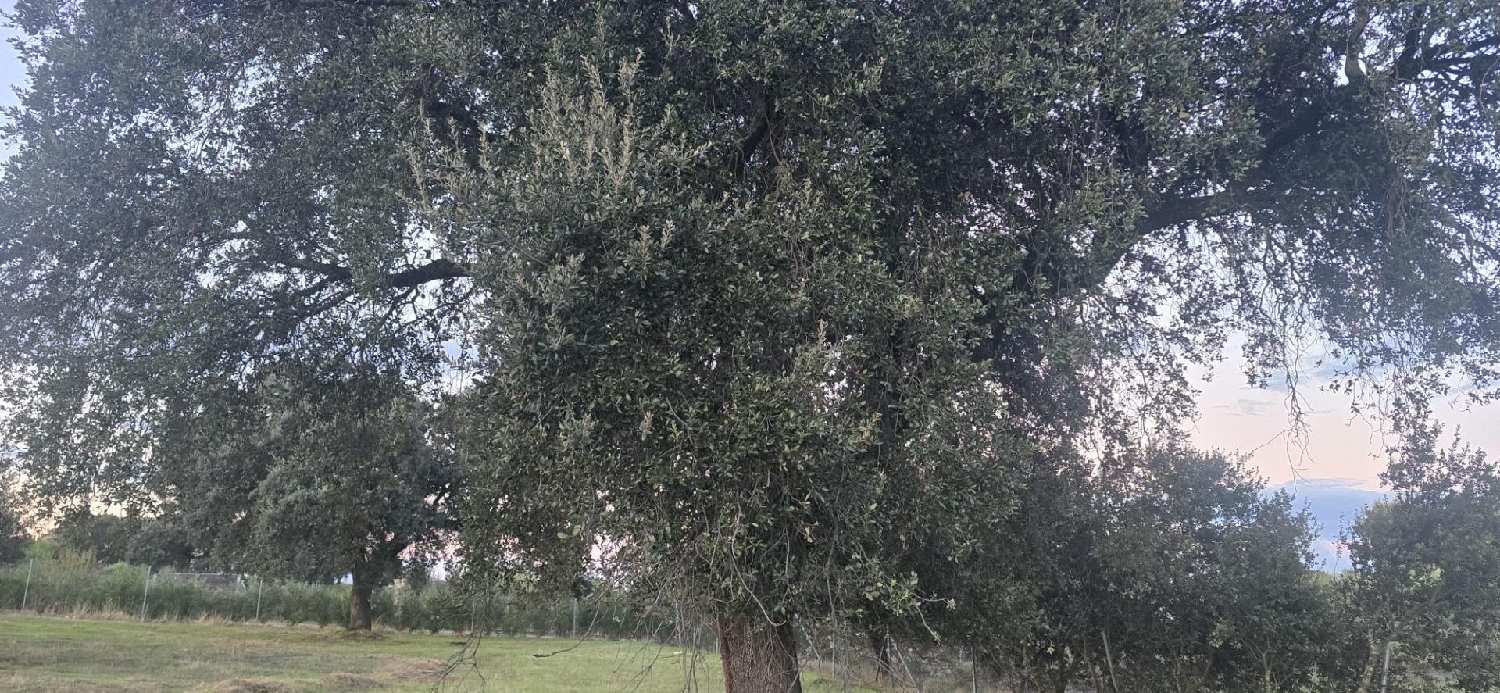  en venta terreno Badajoz Casco Antiguo-Centro Badajoz 7