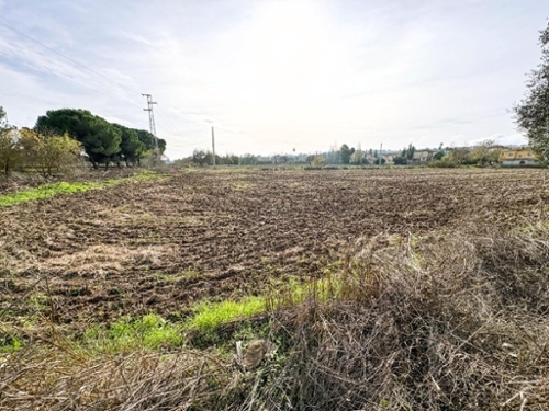 Badajoz Casco Antiguo-Centro Badajoz plot foto 6341827