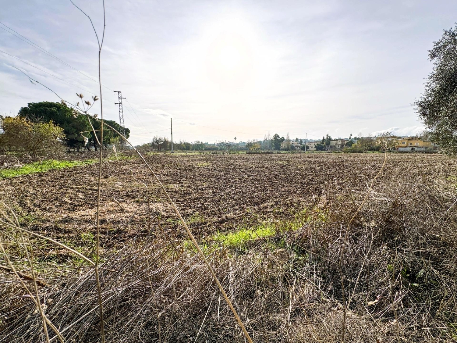  for sale plot Badajoz Casco Antiguo-Centro Badajoz 2