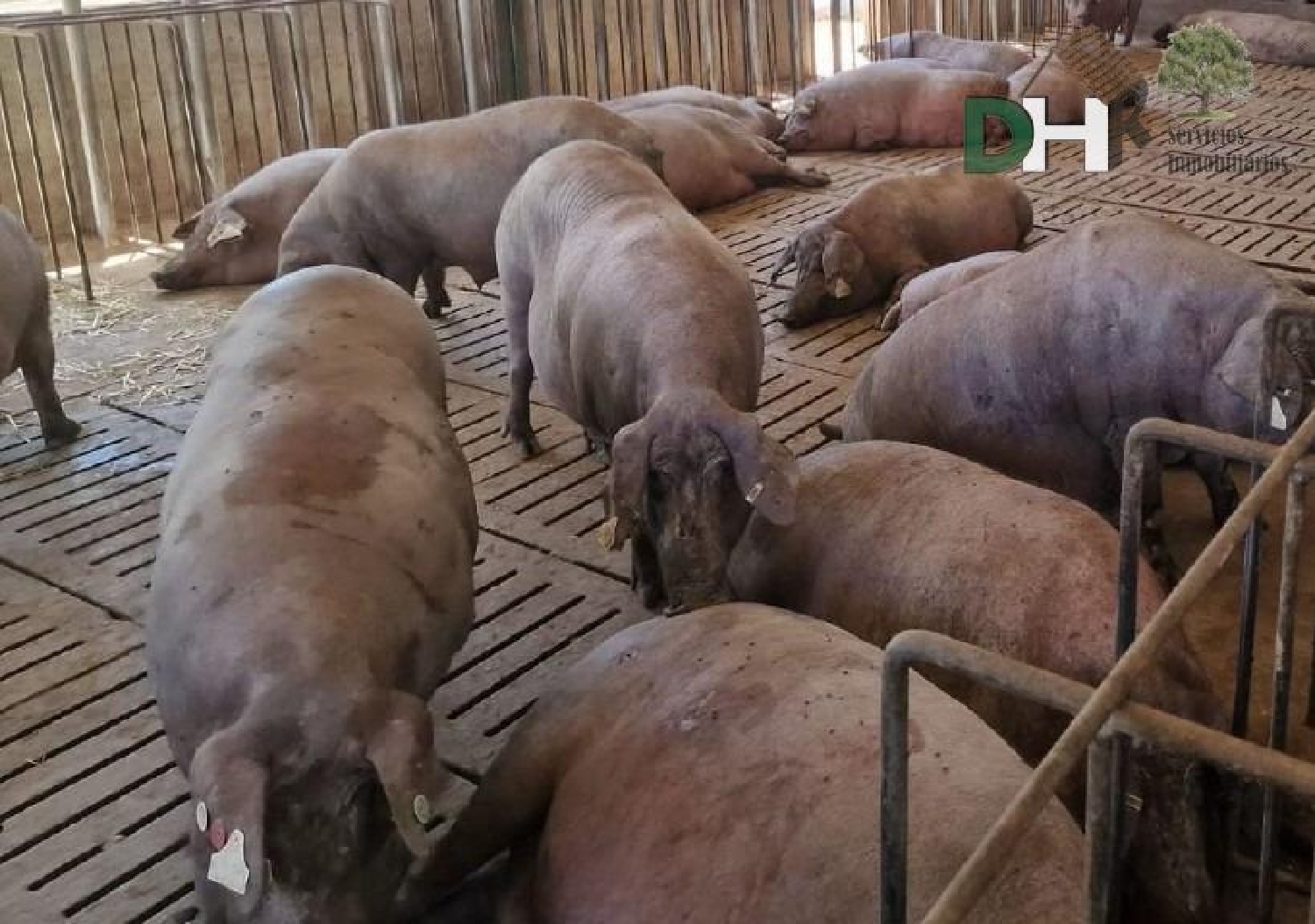  for sale plot Badajoz Casco Antiguo-Centro Badajoz 1