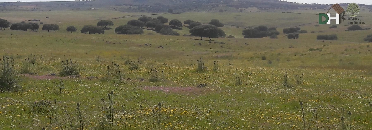  for sale plot Badajoz Casco Antiguo-Centro Badajoz 1