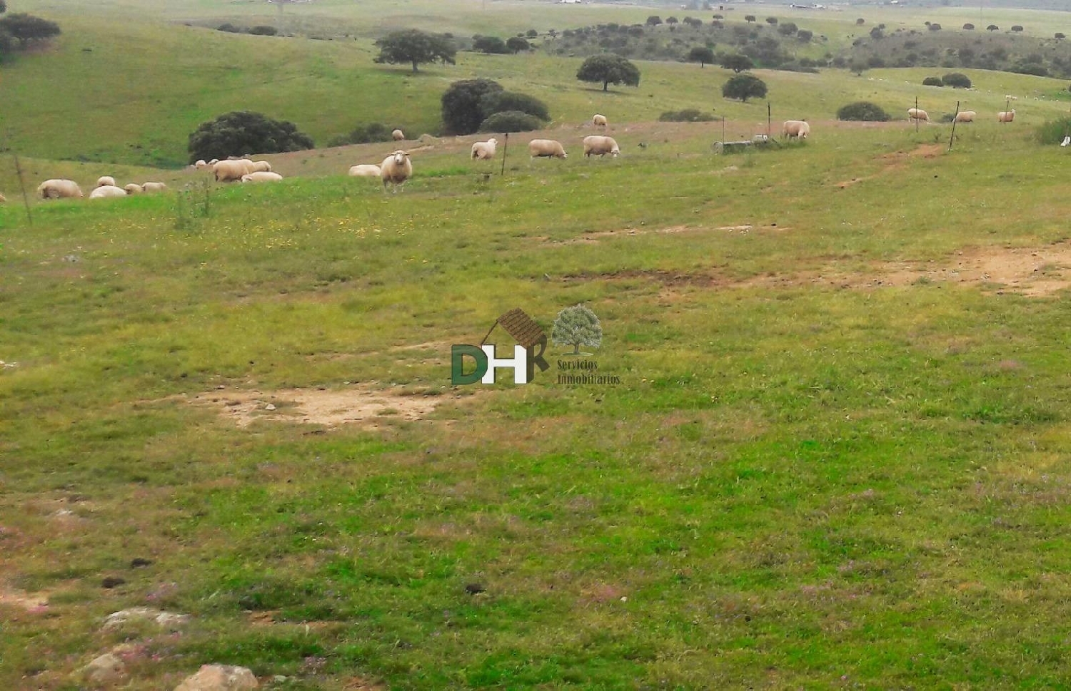  for sale plot Badajoz Casco Antiguo-Centro Badajoz 5