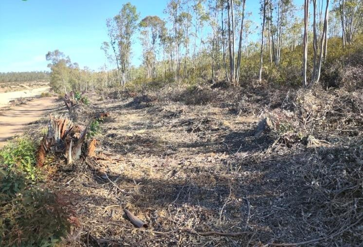  till salu tomt Badajoz Casco Antiguo-Centro Badajoz 1