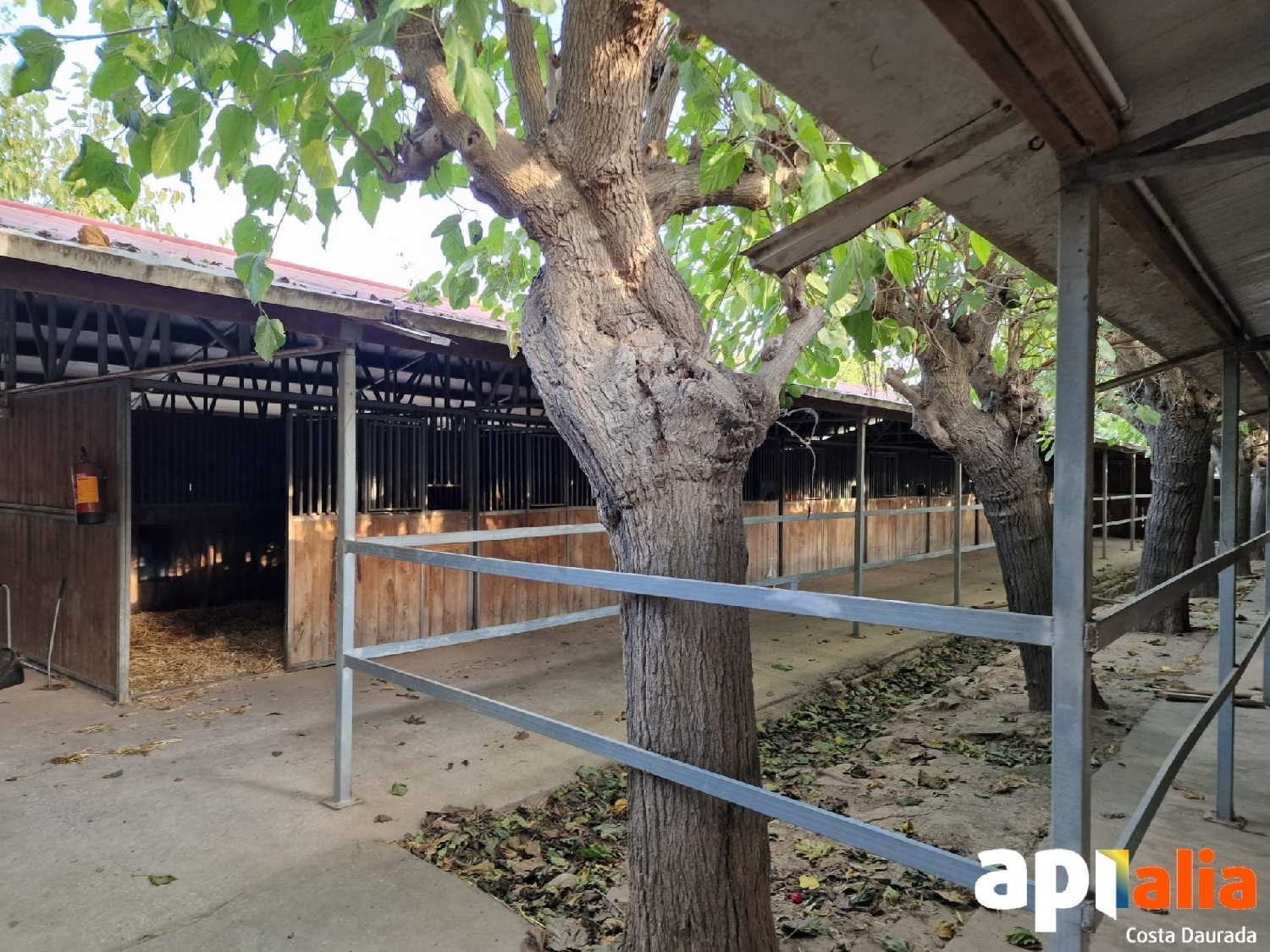  for sale plot Barriada Les Tres Creus Bages 3