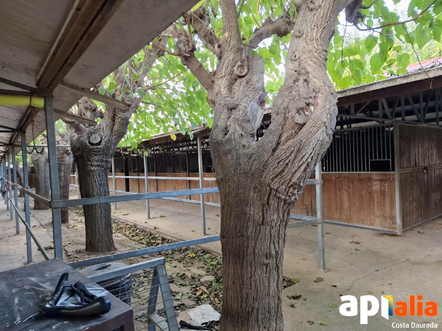  for sale plot Barriada Les Tres Creus Bages 5