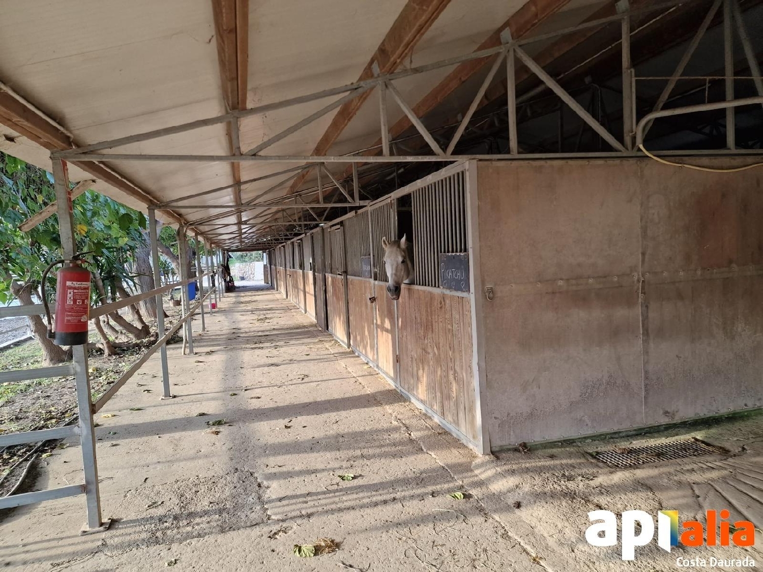  for sale plot Barriada Les Tres Creus Bages 1