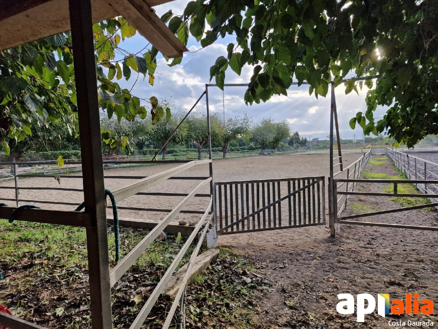  for sale plot Barriada Les Tres Creus Bages 4