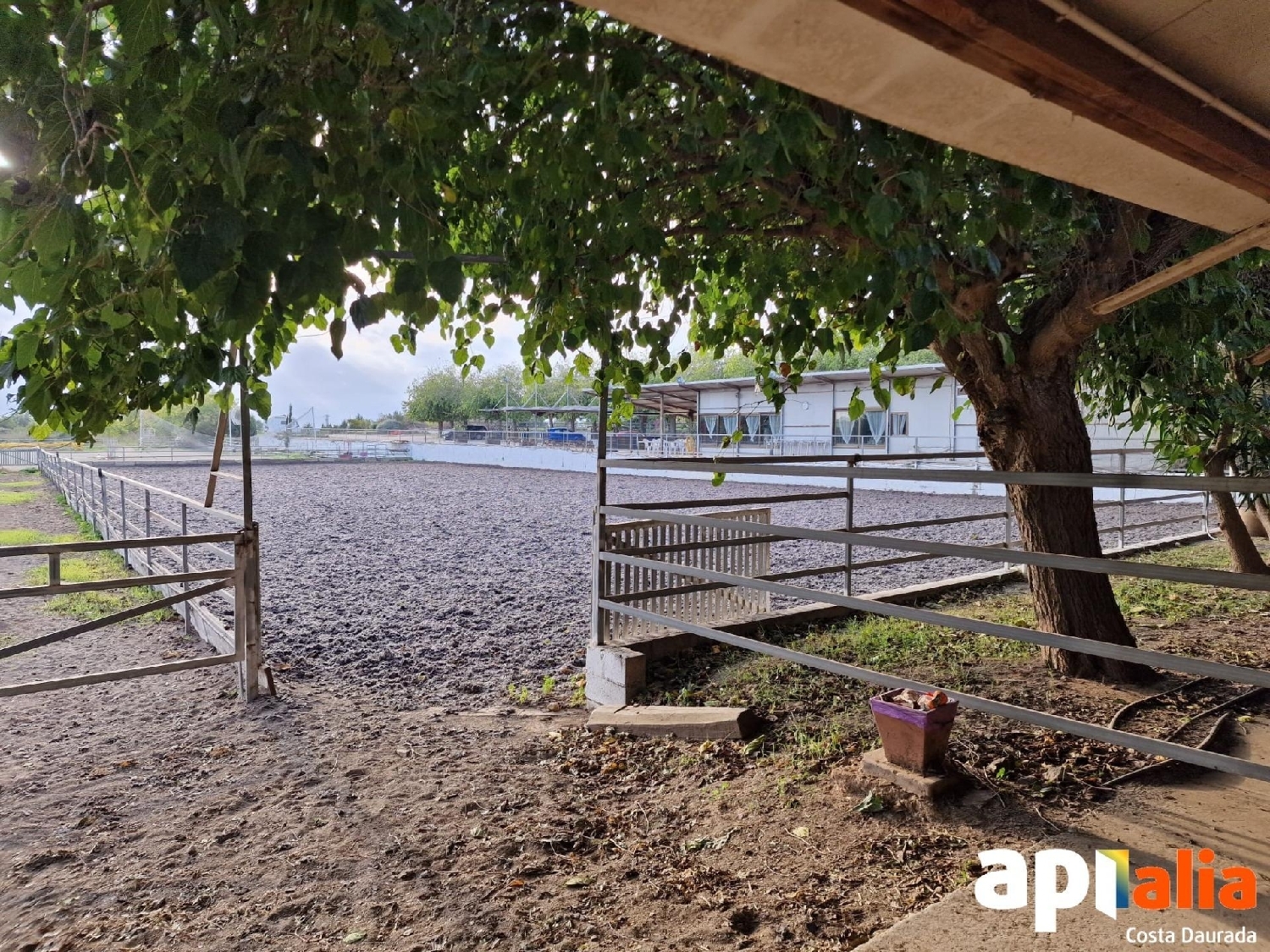  for sale plot Barriada Les Tres Creus Bages 6