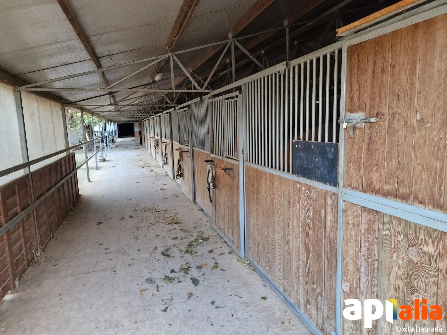  for sale plot Barriada Les Tres Creus Bages 7