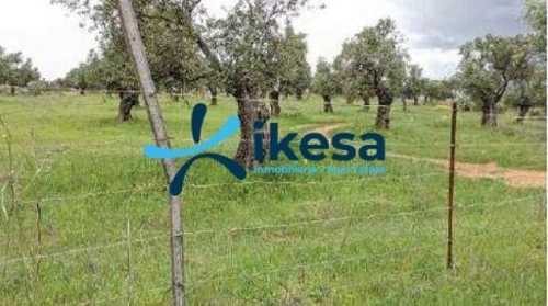 Beas Condado (El) perceel foto 6337033