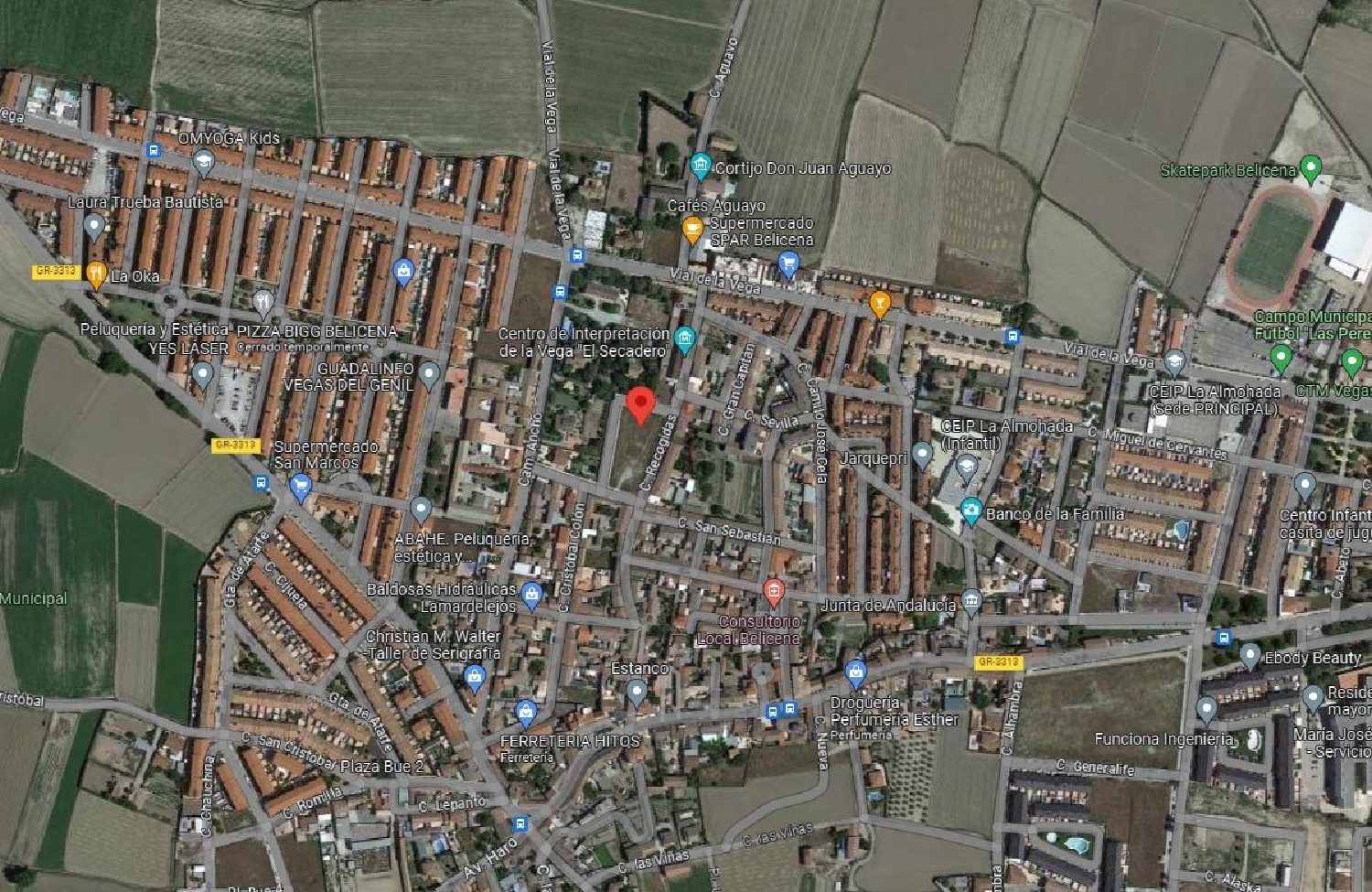  te koop perceel Belicena Vega De Granada 3