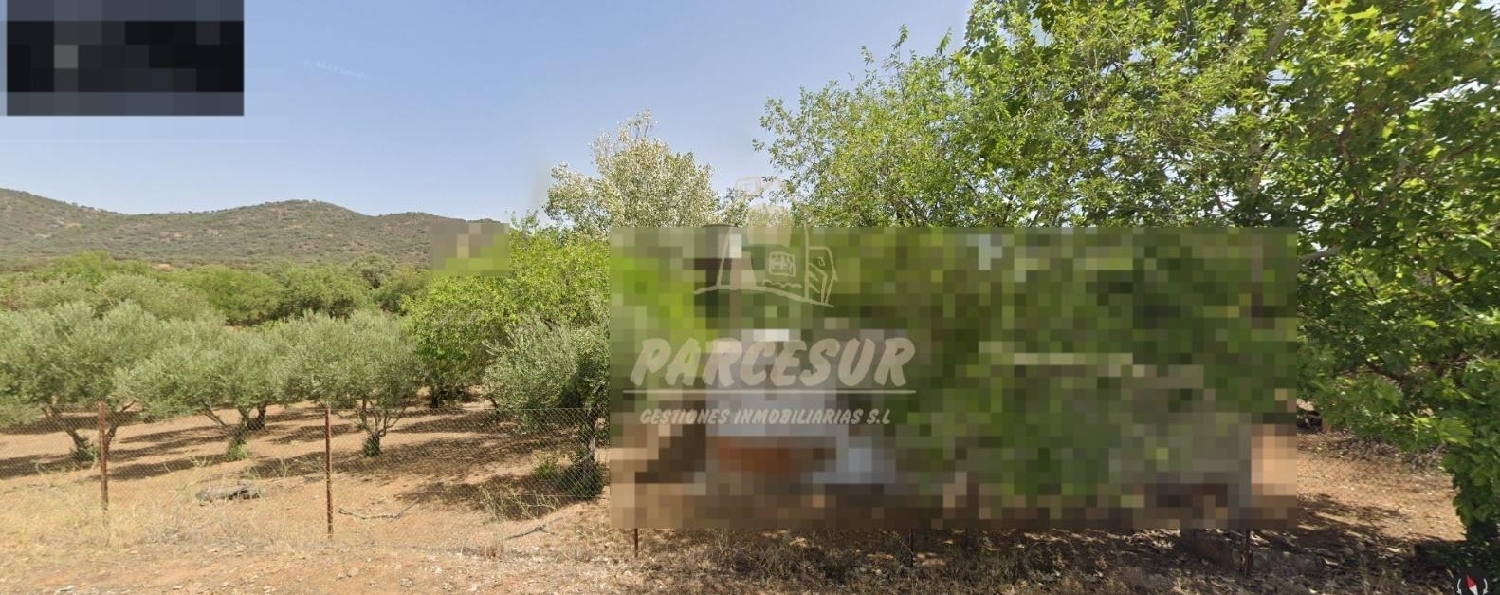 for sale plot Belmez Valle Del Guadiato 3