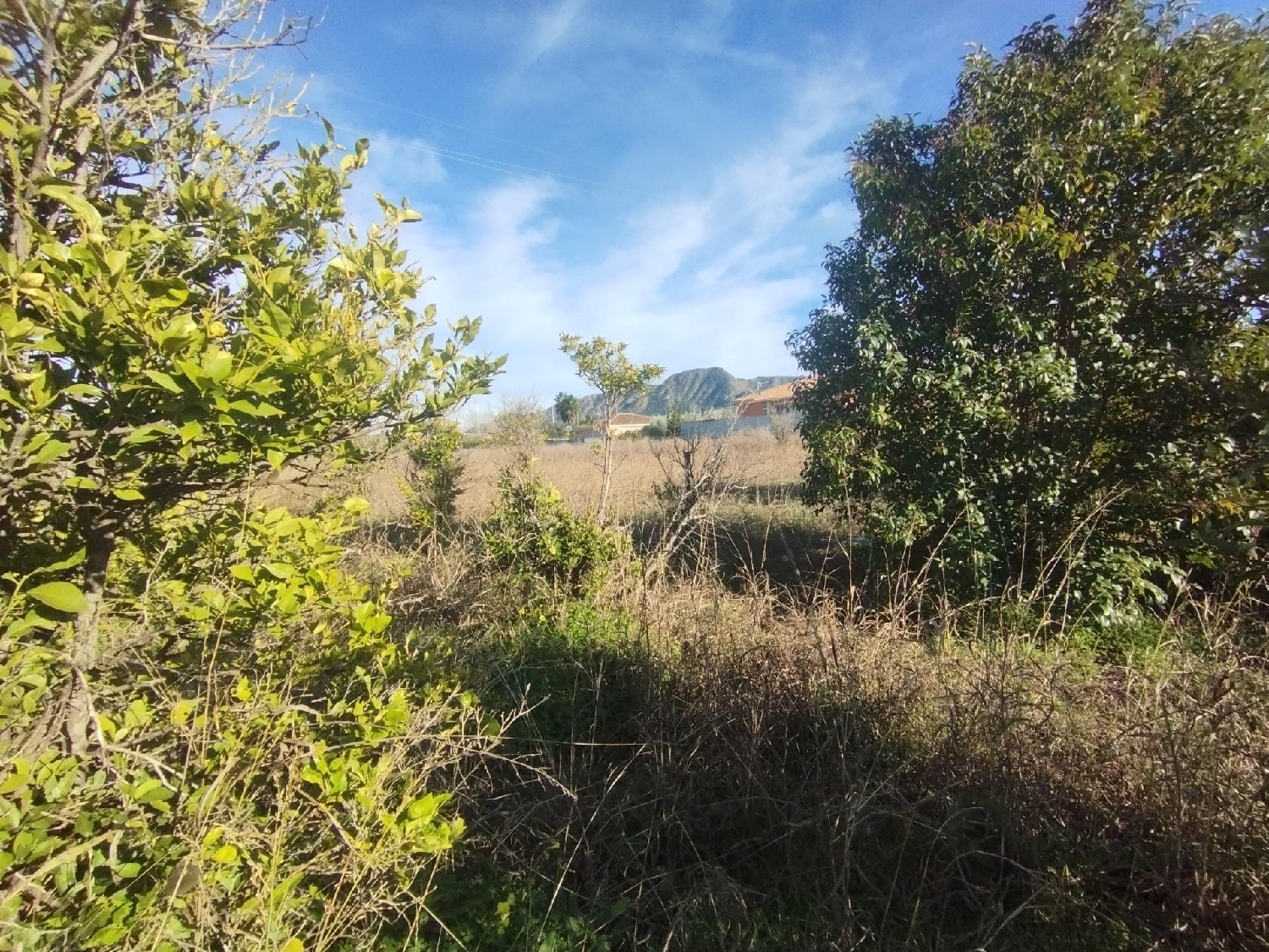 te koop perceel Beniaján Huerta De Murcia 7