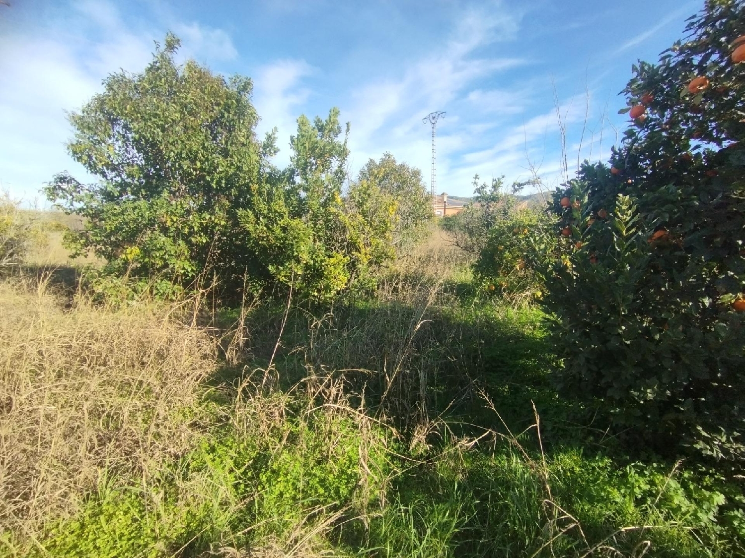 te koop perceel Beniaján Huerta De Murcia 8