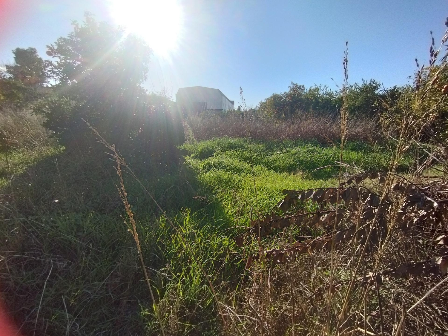 te koop perceel Beniaján Huerta De Murcia 5