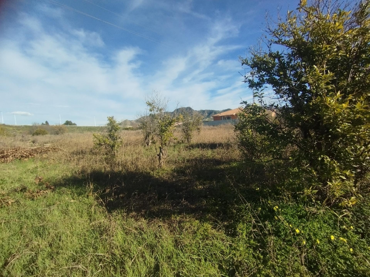 te koop perceel Beniaján Huerta De Murcia 4