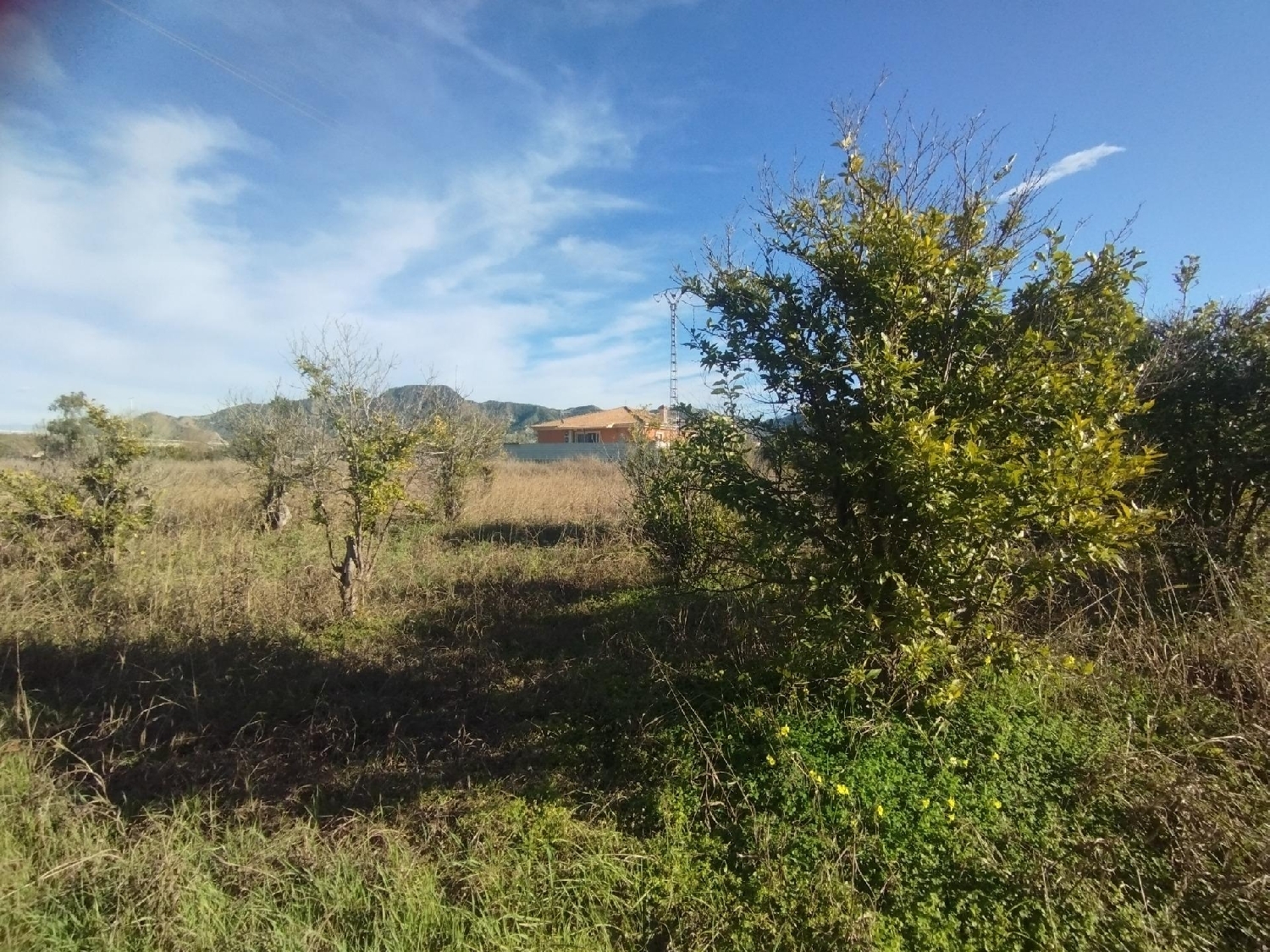 te koop perceel Beniaján Huerta De Murcia 3