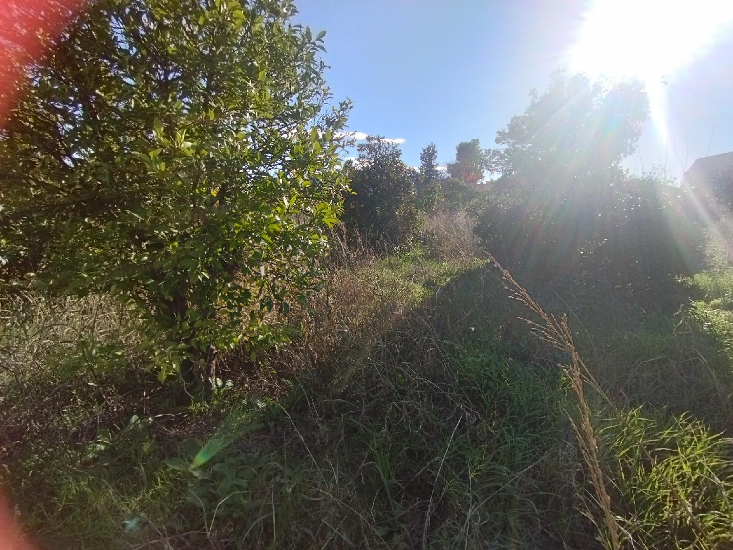 te koop perceel Beniaján Huerta De Murcia 6