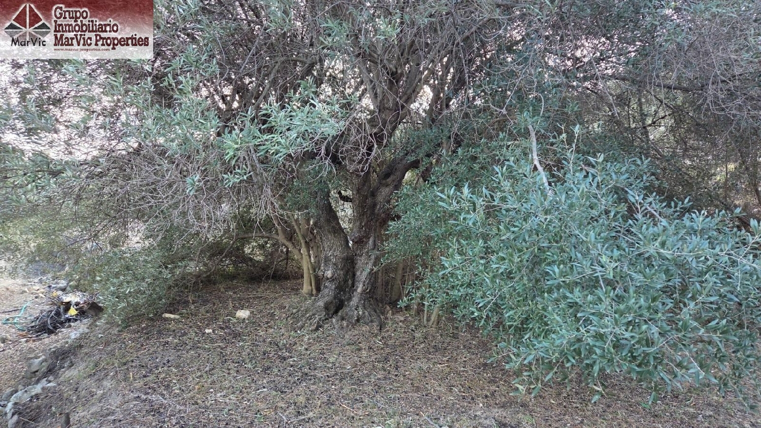 for sale plot Beniardá Marina Baixa 8