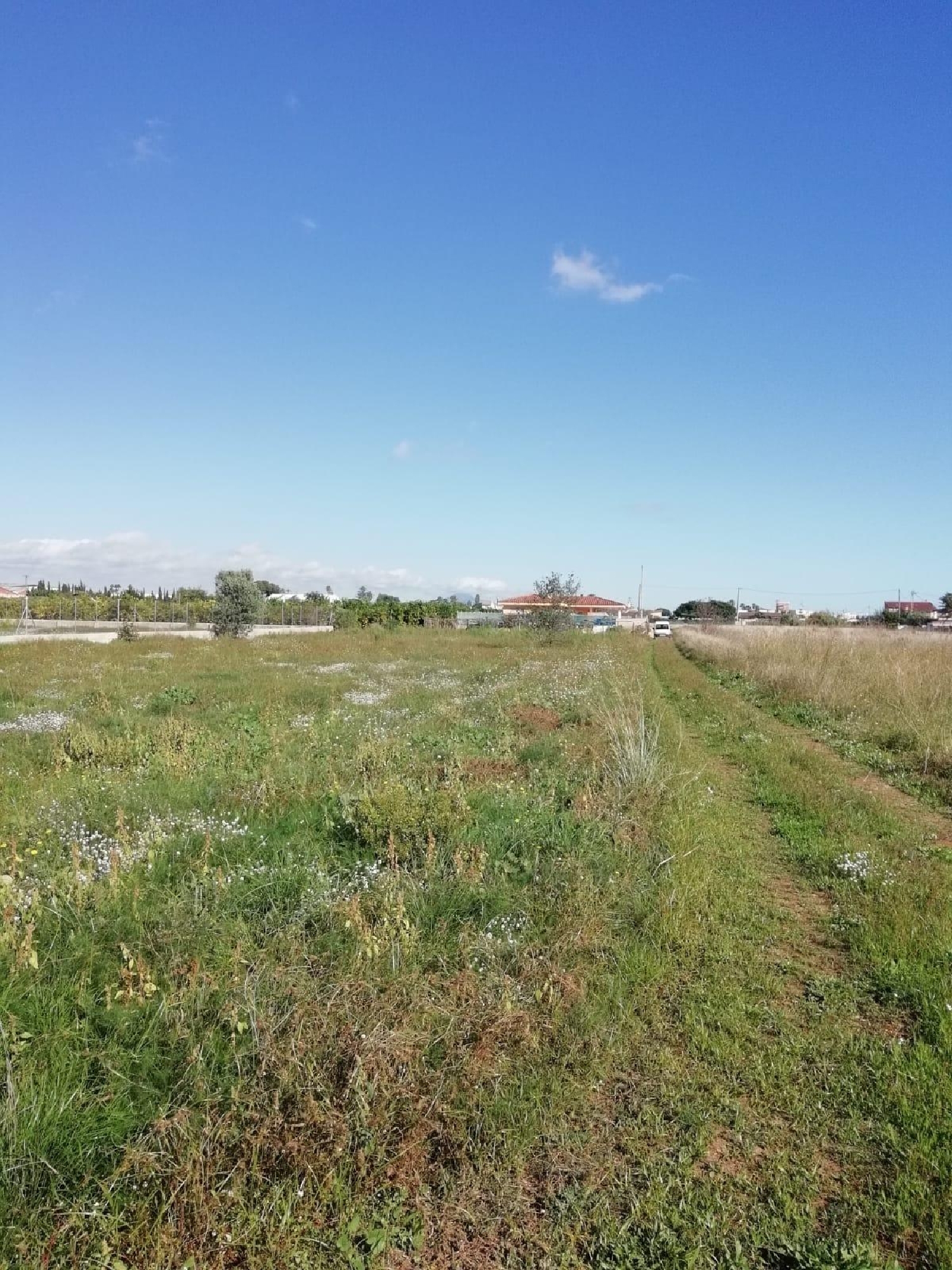  en venta terreno Benicarló Baix Maestrat 3