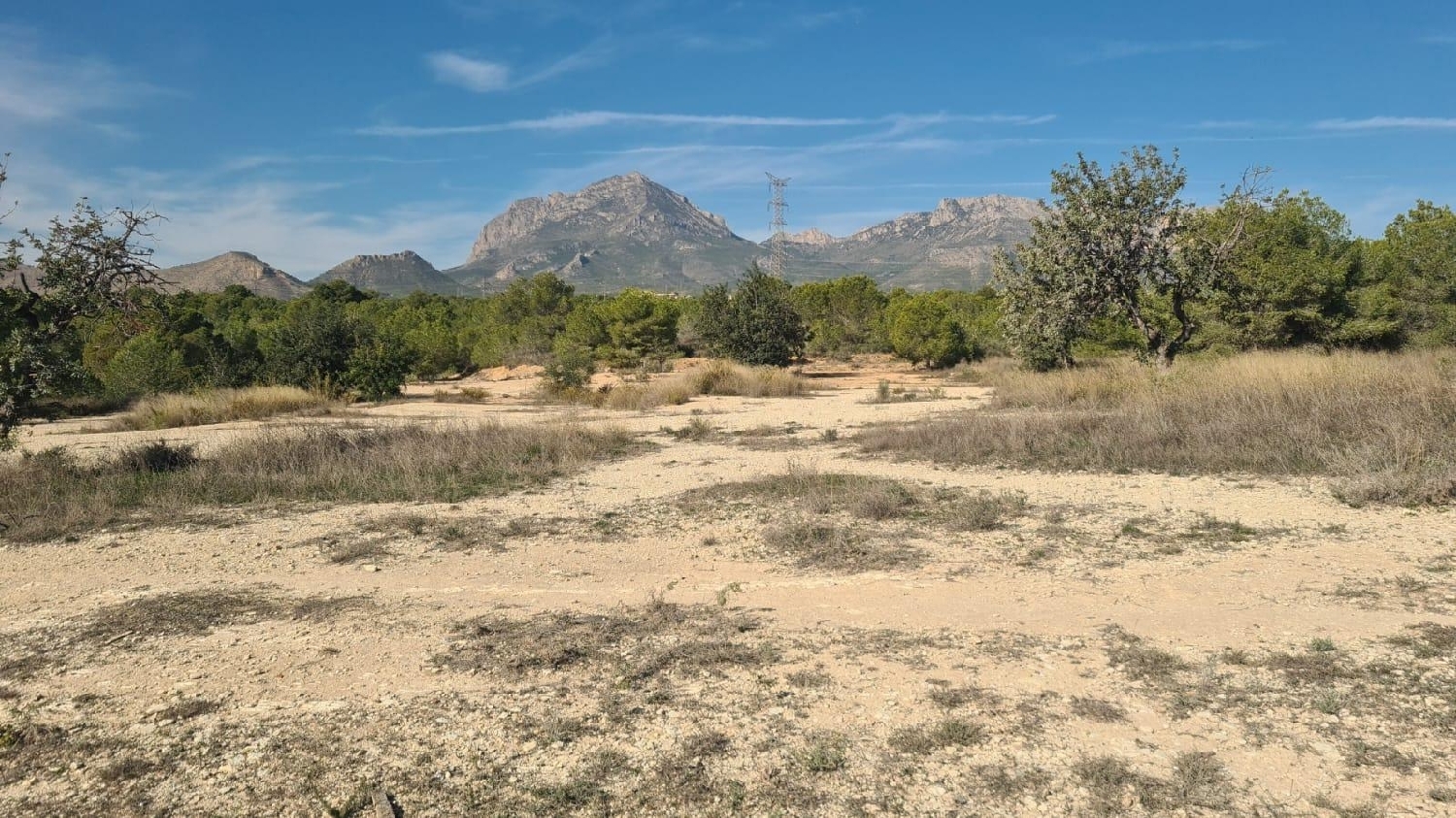  en venta terreno Benidorm (Centro) Marina Baixa 5