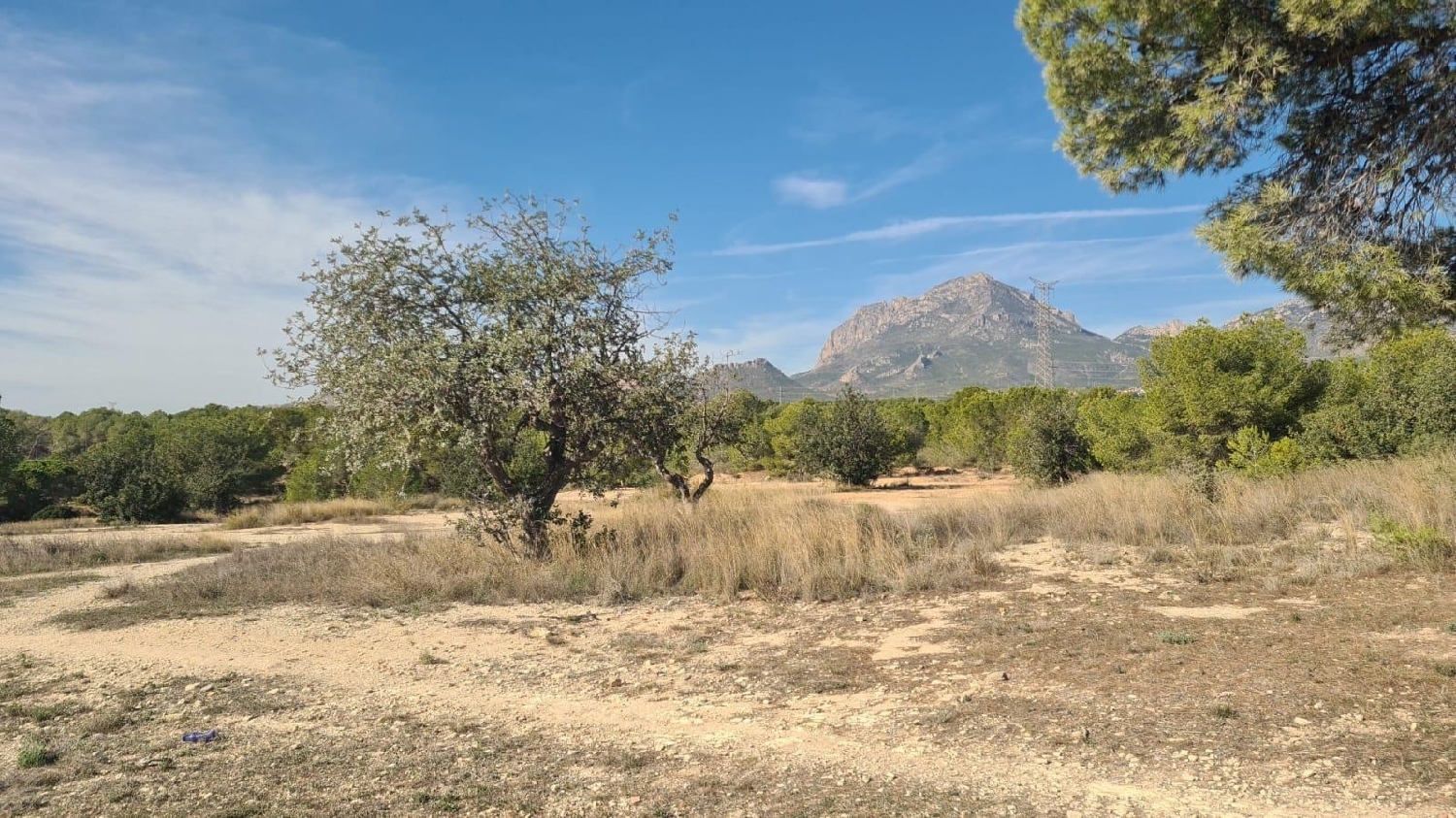  en venta terreno Benidorm (Centro) Marina Baixa 3