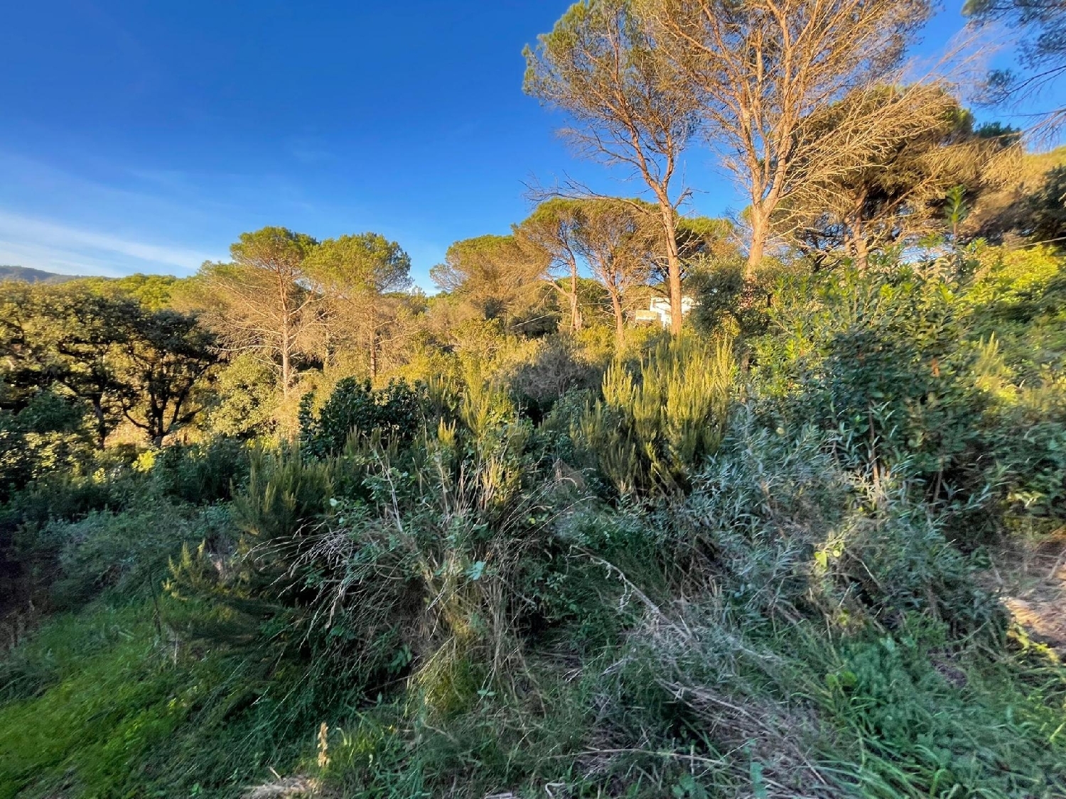  kaufen Grundstück Blanes Selva 3