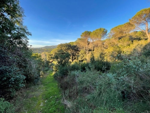 Blanes Selva Grundstück Bild 6325463