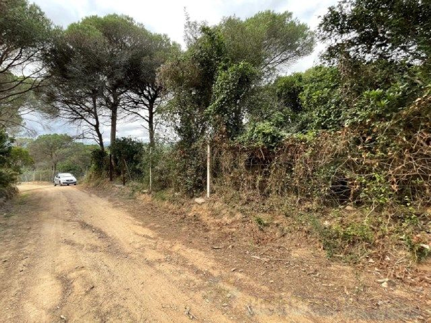  kaufen Grundstück Blanes Selva 6