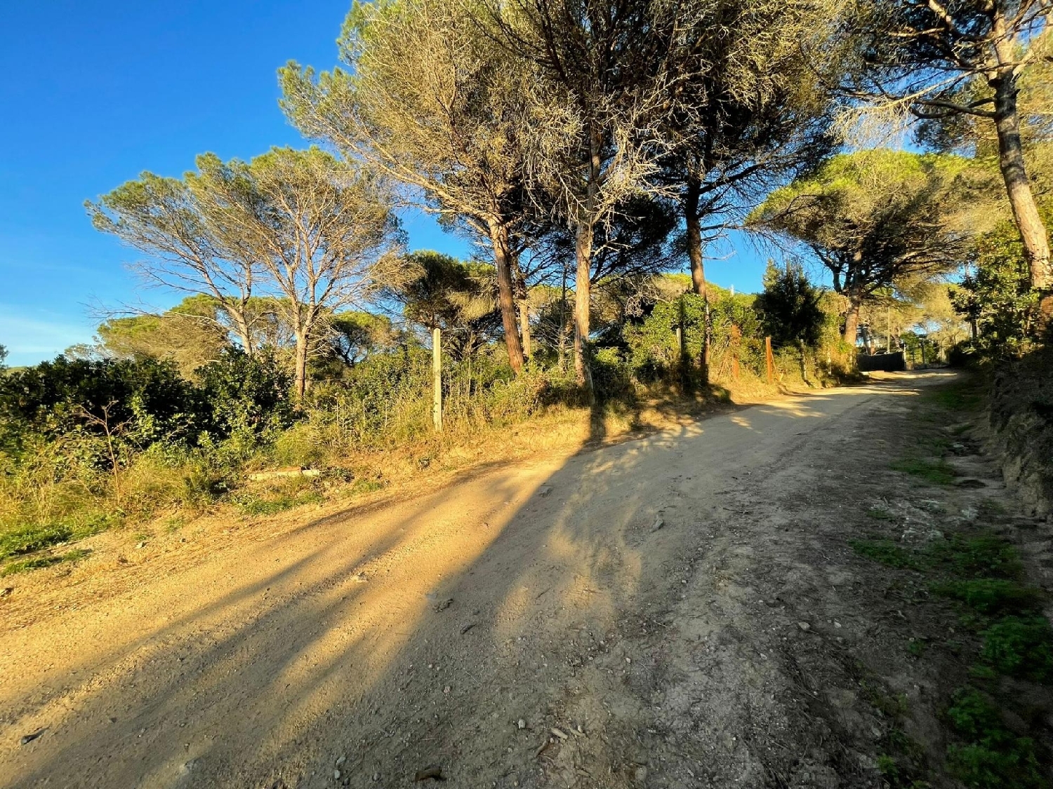  kaufen Grundstück Blanes Selva 2