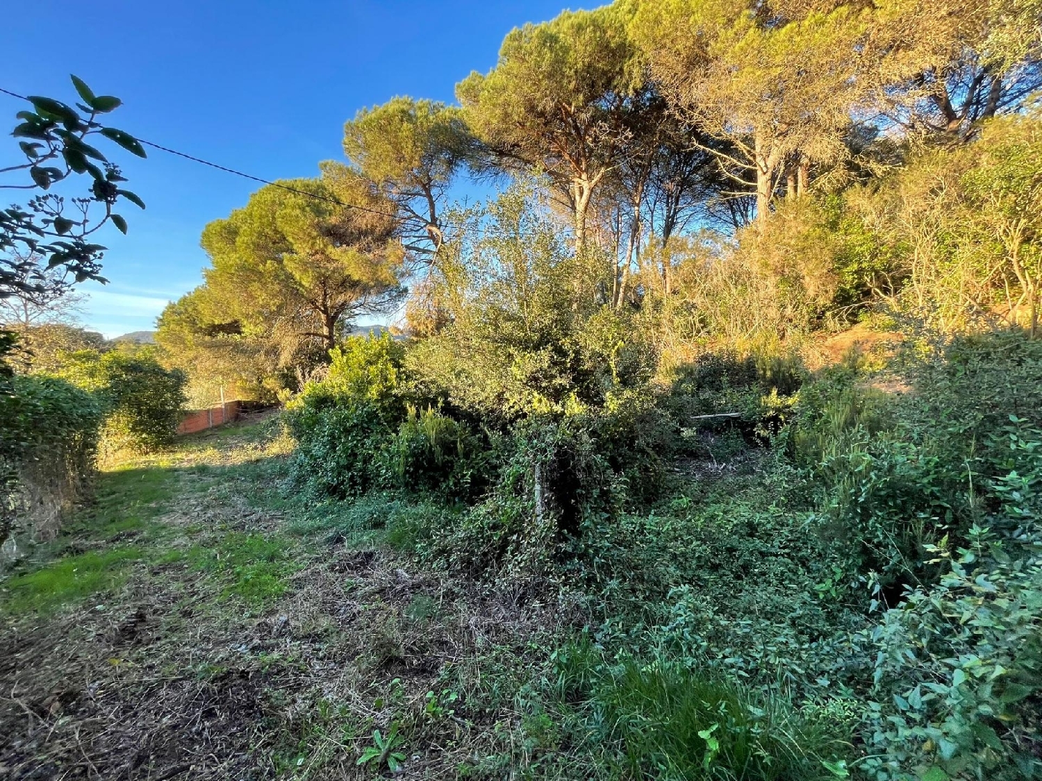  kaufen Grundstück Blanes Selva 4