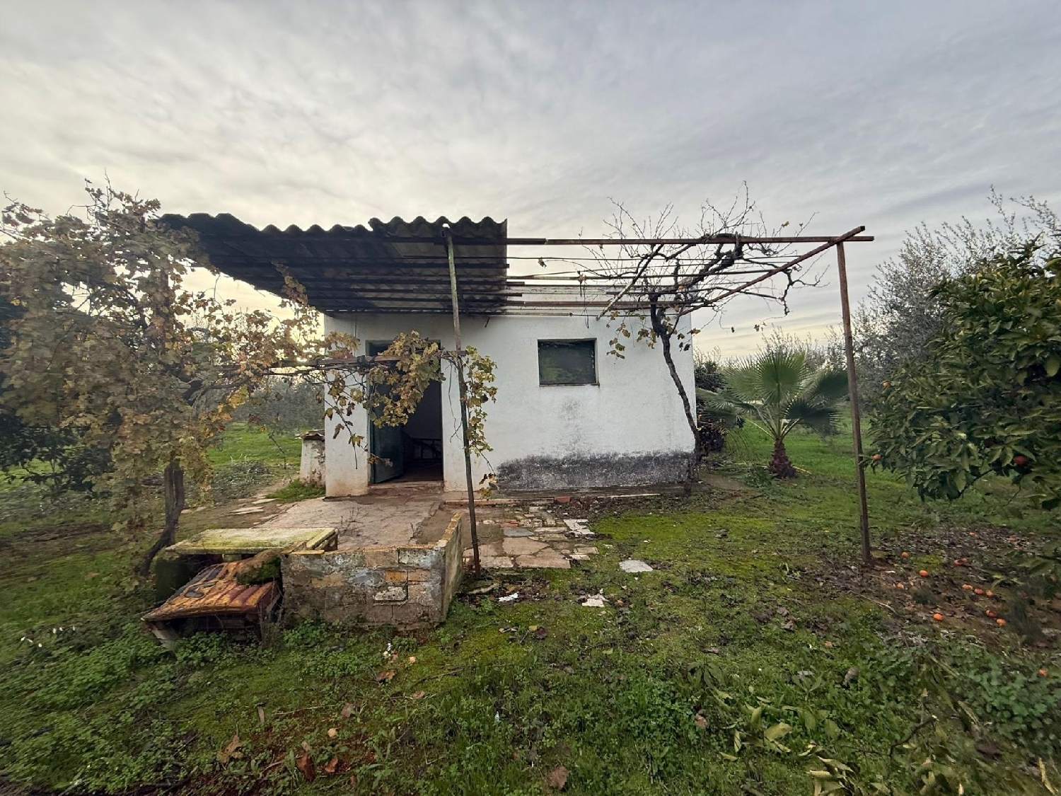  à vendre terrain Bollullos De La Mitación Aljarafe 1