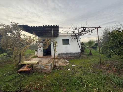 Bollullos De La Mitación Aljarafe terreno foto 6337519