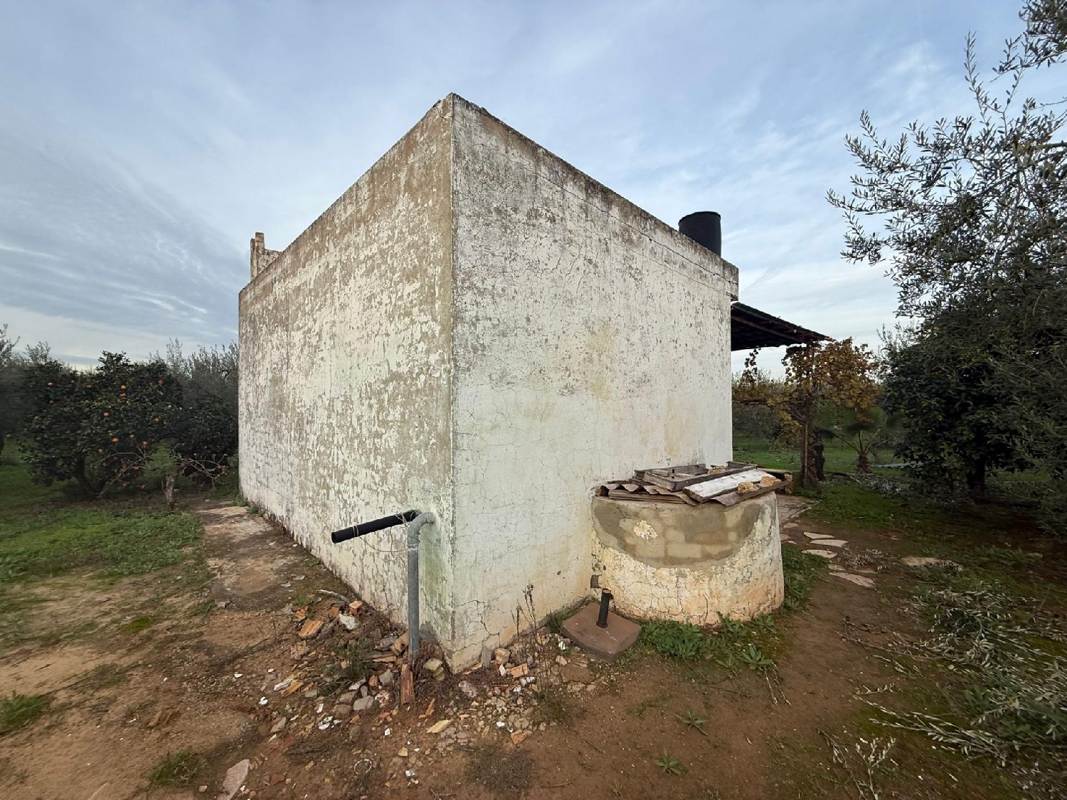  à vendre terrain Bollullos De La Mitación Aljarafe 4