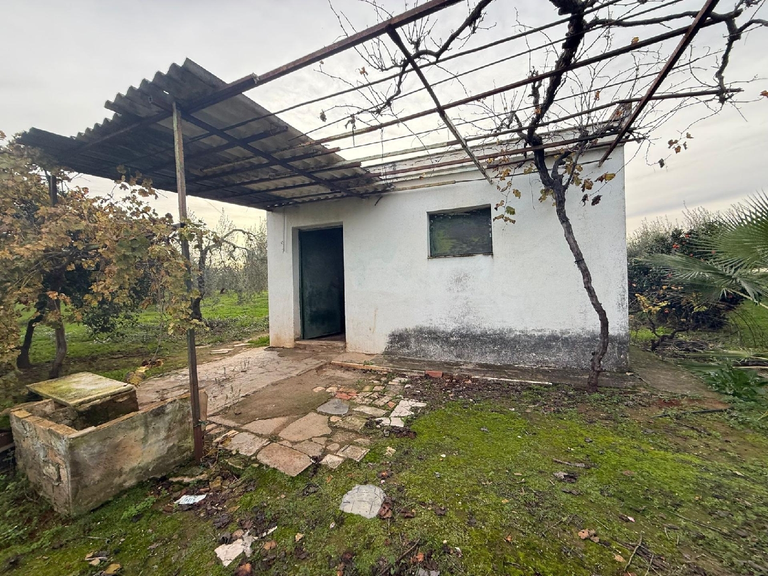  à vendre terrain Bollullos De La Mitación Aljarafe 5