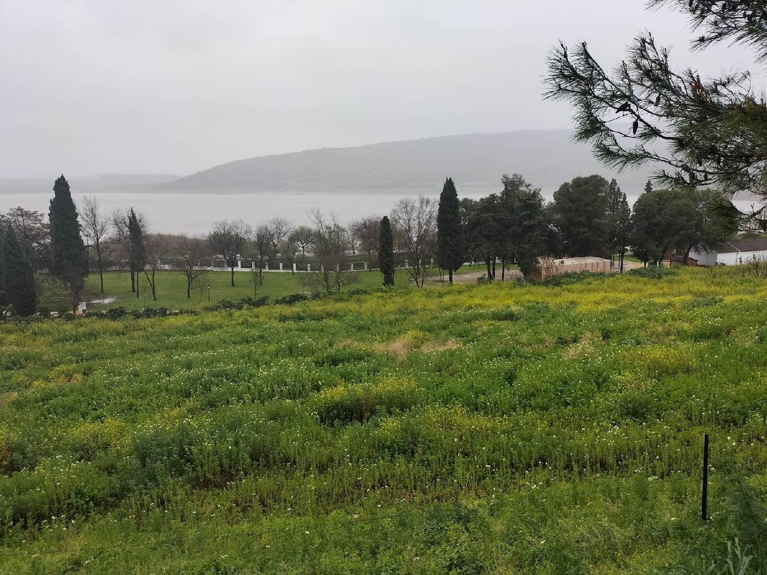  till salu tomt Bornos Sierra De Cádiz 5