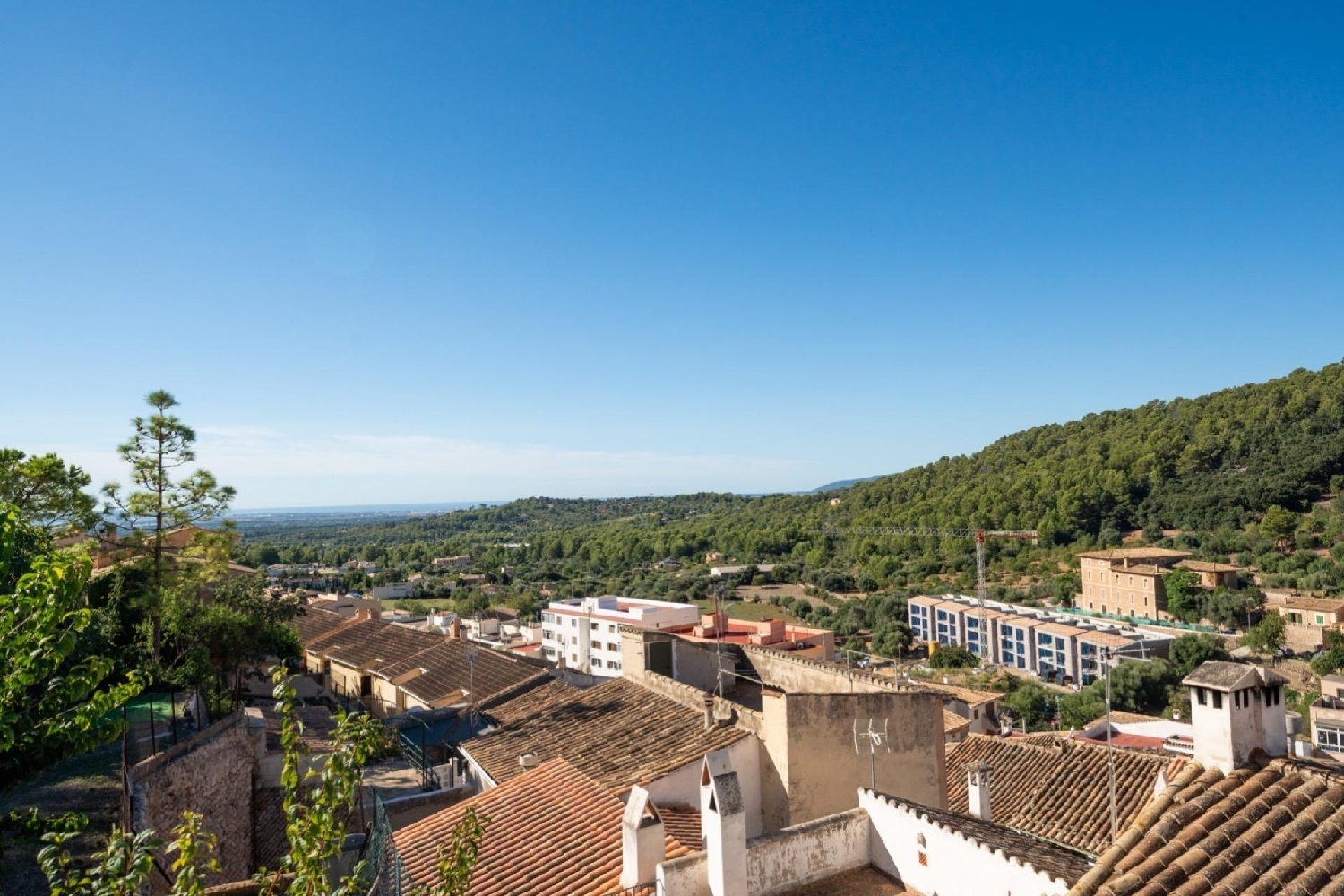  for sale plot Bunyola Tramuntana 8