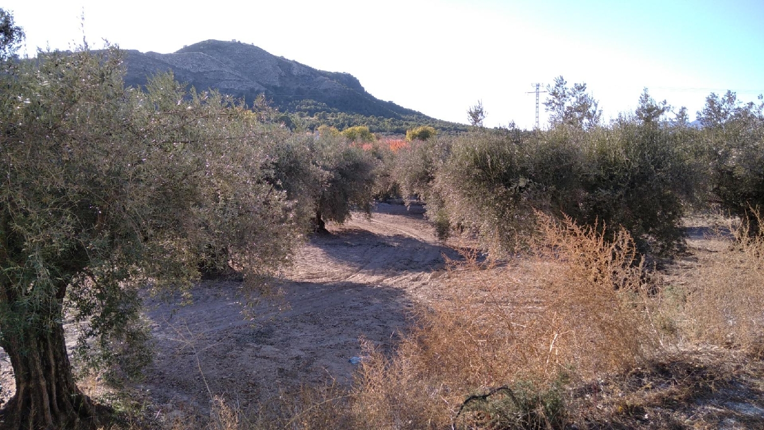  à vendre terrain Calasparra Noroeste 7